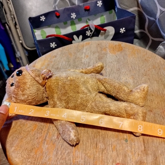 Ty Beanie Babies  - CASHEW  the SUPER SOFT  brown bear soft toy - Picture 12 of 15